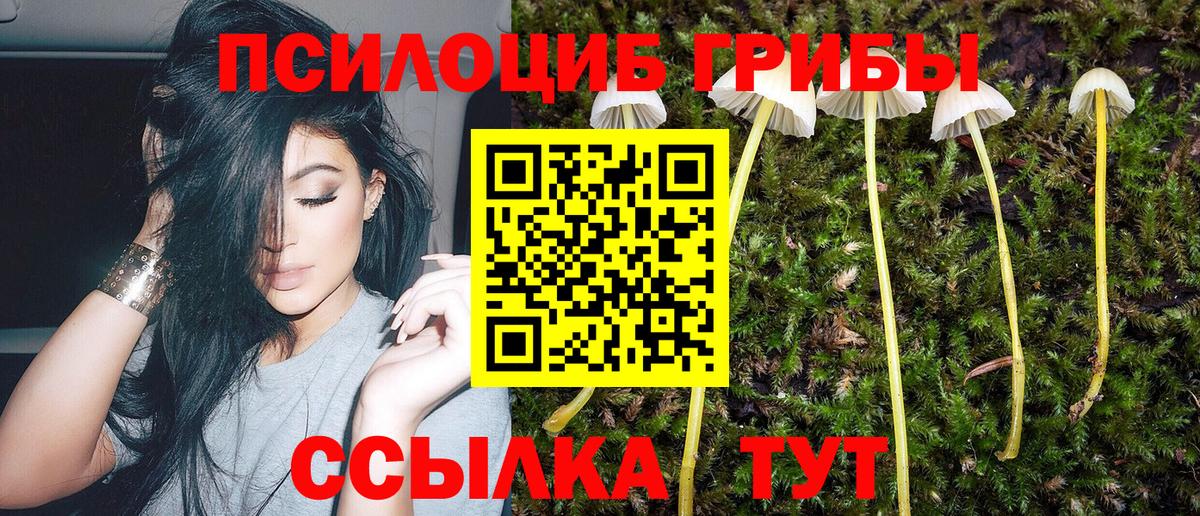 Сергиев Посад  Псилоцибиновые грибы Psilocybe  Вход с VPN  Галлюциногенные грибы Cubensis 